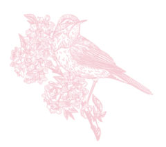 花と小鳥