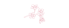 小花