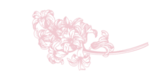 ヒアシンス