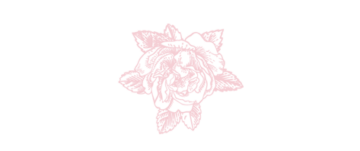 薔薇