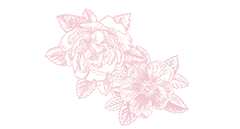 バラの花