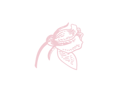 つぼみ