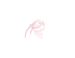つぼみ