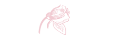 つぼみ
