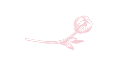 つぼみ