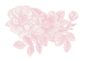 薔薇とつぼみ
