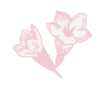 小花